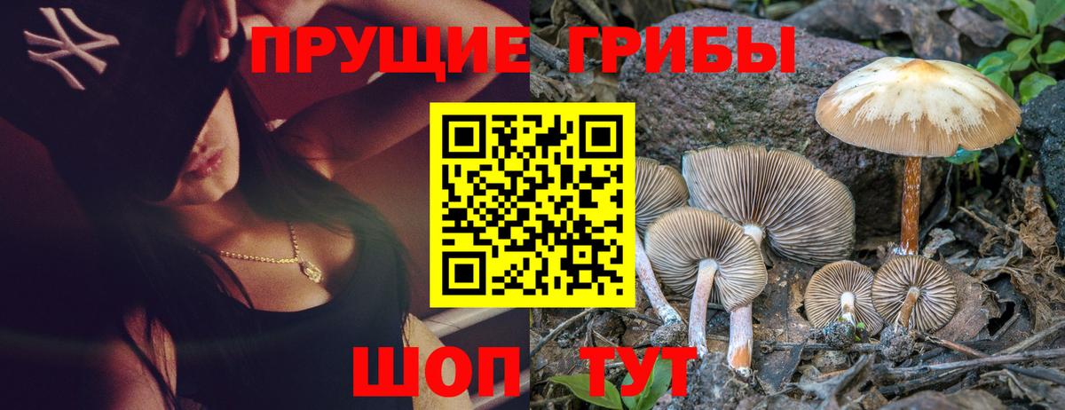 Камышин  Псилоцибиновые грибы мухоморы  Вход с VPN 