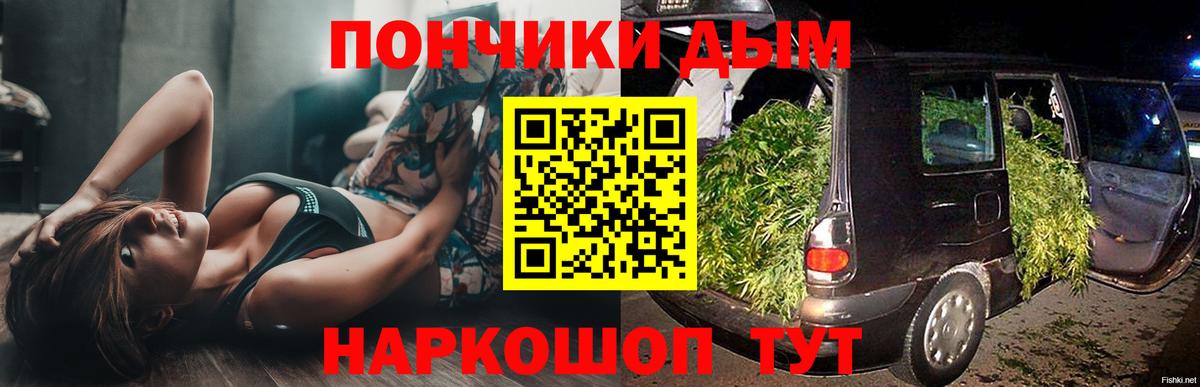 МЕФ Камышин